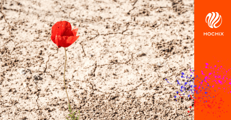 HOCHiX und die stille Sehnsucht – Einsamkeit transformieren
