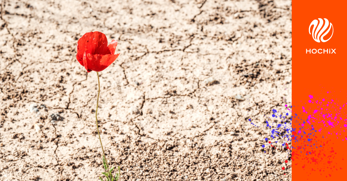 HOCHiX und die stille Sehnsucht – Einsamkeit transformieren